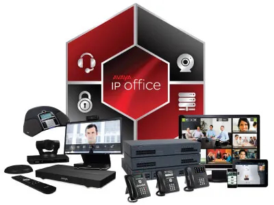 Avaya IPO